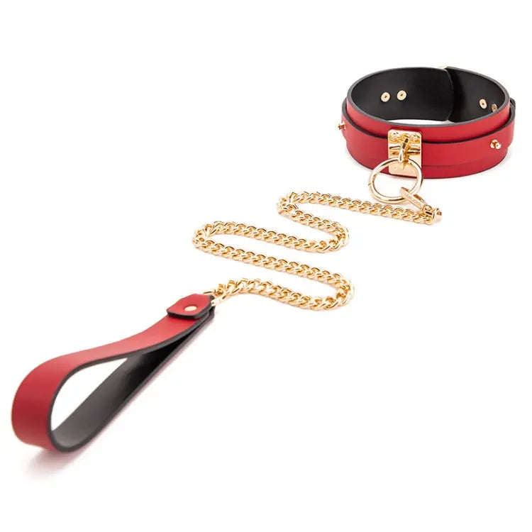 Restraints & Collars